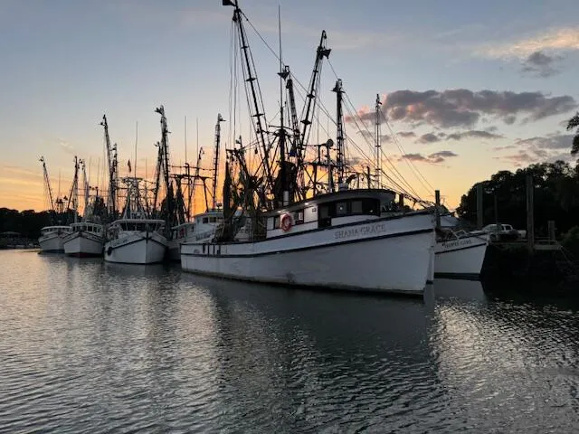 $119,000 | 310 Drayton Street, McClellanville, SC 29458