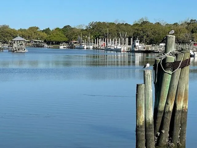 $119,000 | 310 Drayton Street, McClellanville, SC 29458