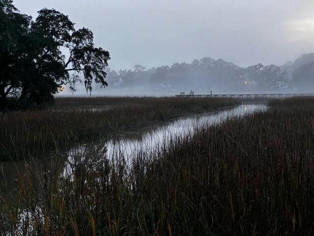 310 Drayton Street McClellanville, SC 29458 - Photo 9 of 16 Foggy village evening