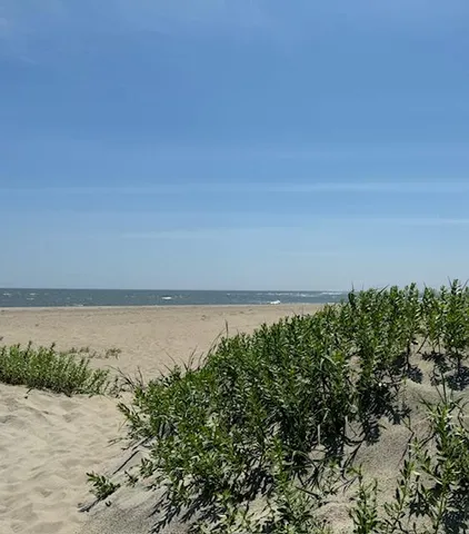 $119,000 | 310 Drayton Street, McClellanville, SC 29458