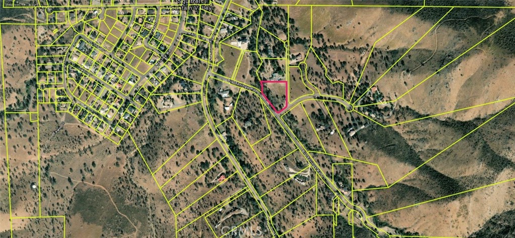 6601 Big Springs Road Lake Isabella, CA 93240 - Photo 4 of 13 a view of a yard