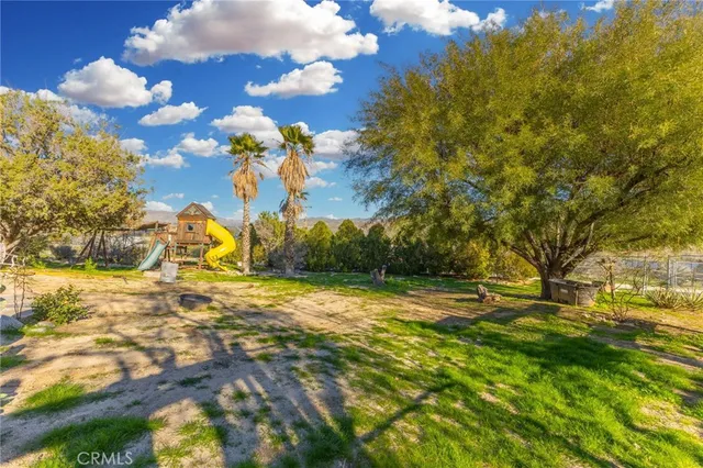 a view of a yard with palm trees