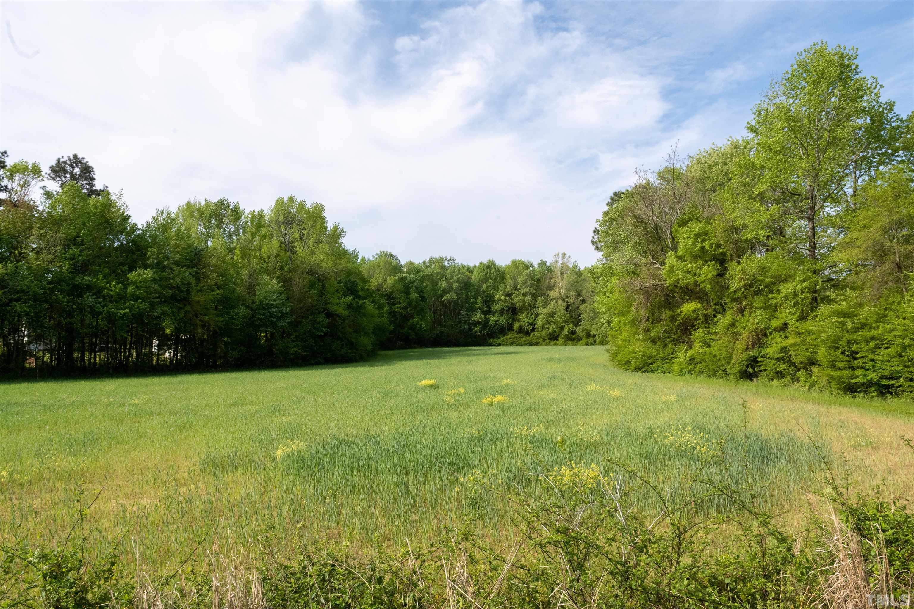 0 Hill Road Spring Hope, NC 27882 - Photo 42 of 43