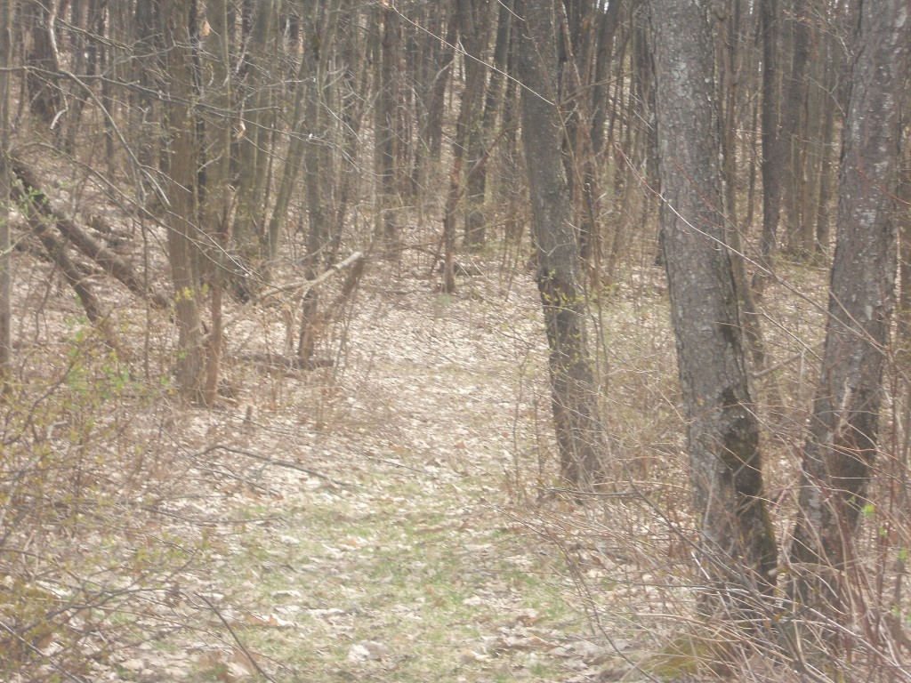 418 Raish Hill Road Candor, NY 13743 - Photo 47 of 48 Gallery Image 47