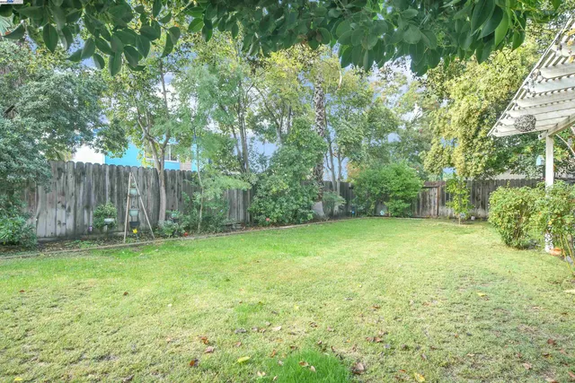 a view of a yard with a trees