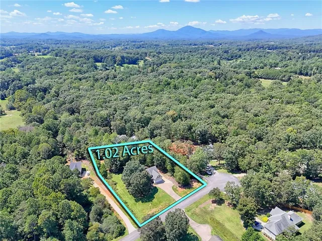 a view of a forest with a mountain