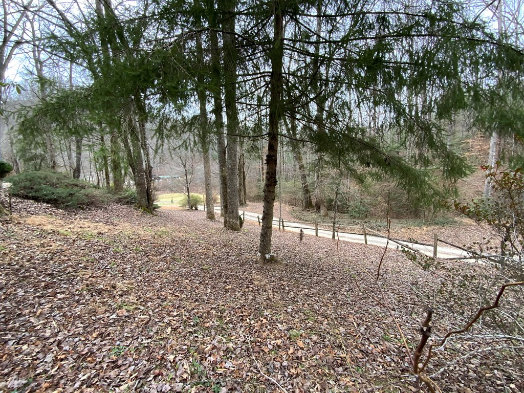 1600 Long Branch Road Marble, NC 28905 - Photo 42 of 49 Gallery Image 42