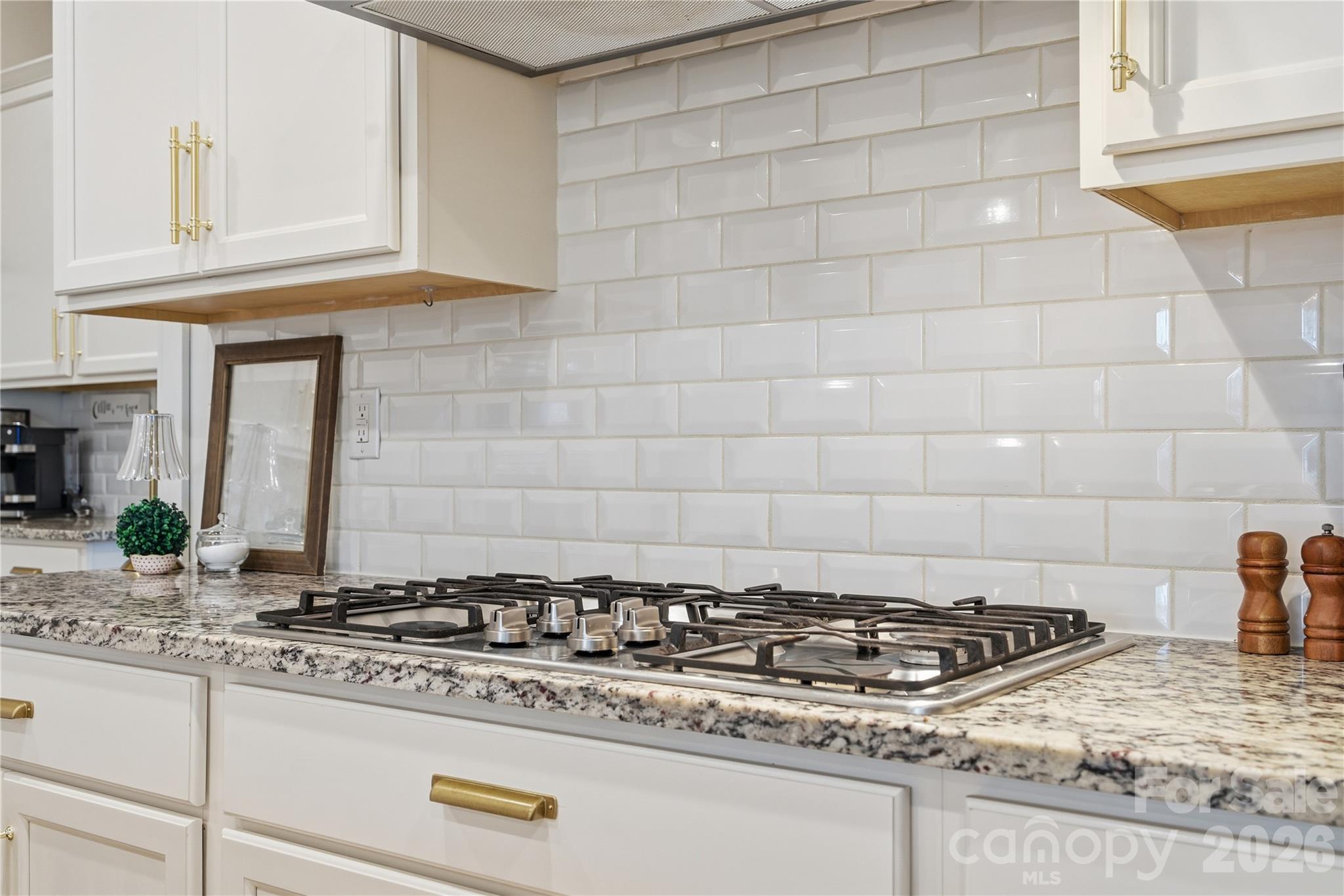 4034 Flagstone Drive Lancaster, SC 29720 - Photo 21 of 47