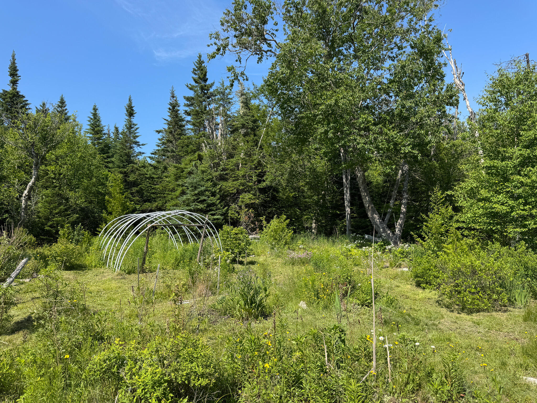 1125 Boot Cove Road Lubec, ME 04652 - Photo 15 of 19 15