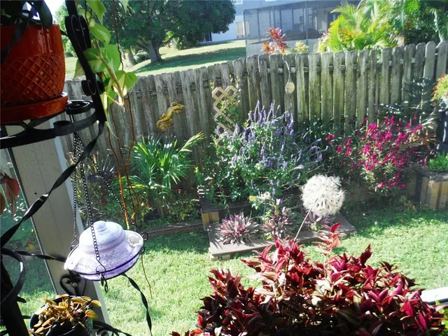a garden with plants and flowers