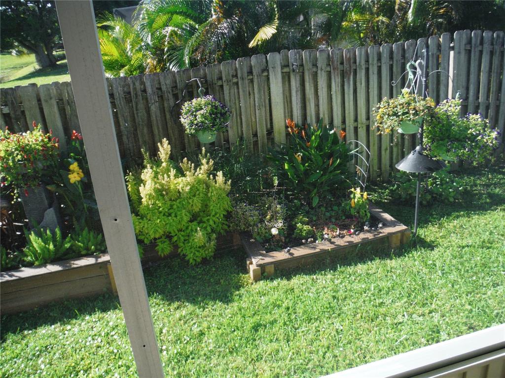 168 Pinewood Terrace, Unit 104 Safety Harbor, FL 34695 - Photo 24 of 55 a garden with plants and flowers