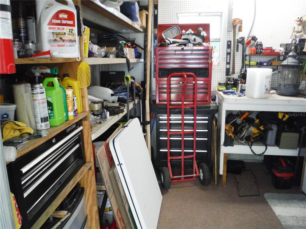 168 Pinewood Terrace, Unit 104 Safety Harbor, FL 34695 - Photo 39 of 55 a view of walk in closet