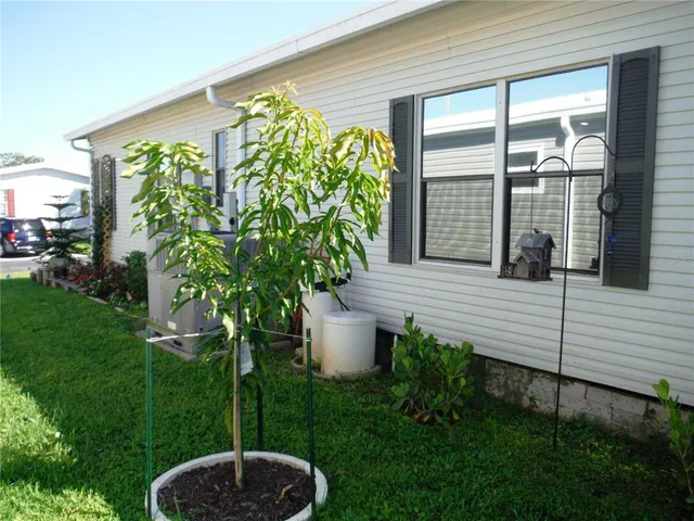 a garden with flowers and a bench