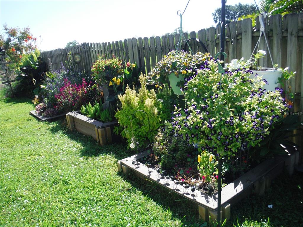 168 Pinewood Terrace, Unit 104 Safety Harbor, FL 34695 - Photo 44 of 55 a garden with flowers and a bench