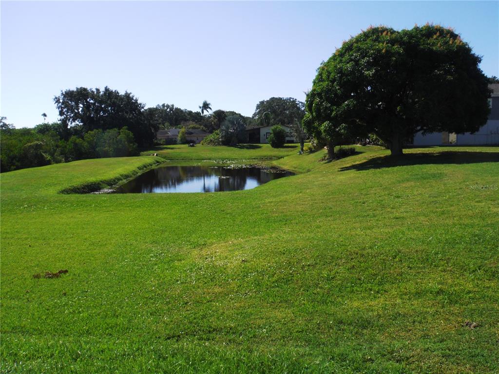 168 Pinewood Terrace, Unit 104 Safety Harbor, FL 34695 - Photo 46 of 55 a view of field with grass and trees