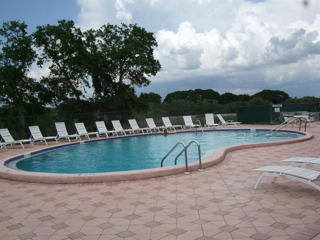 168 Pinewood Terrace, Unit 104 Safety Harbor, FL 34695 - Photo 51 of 55 a view of swimming pool with a lake view