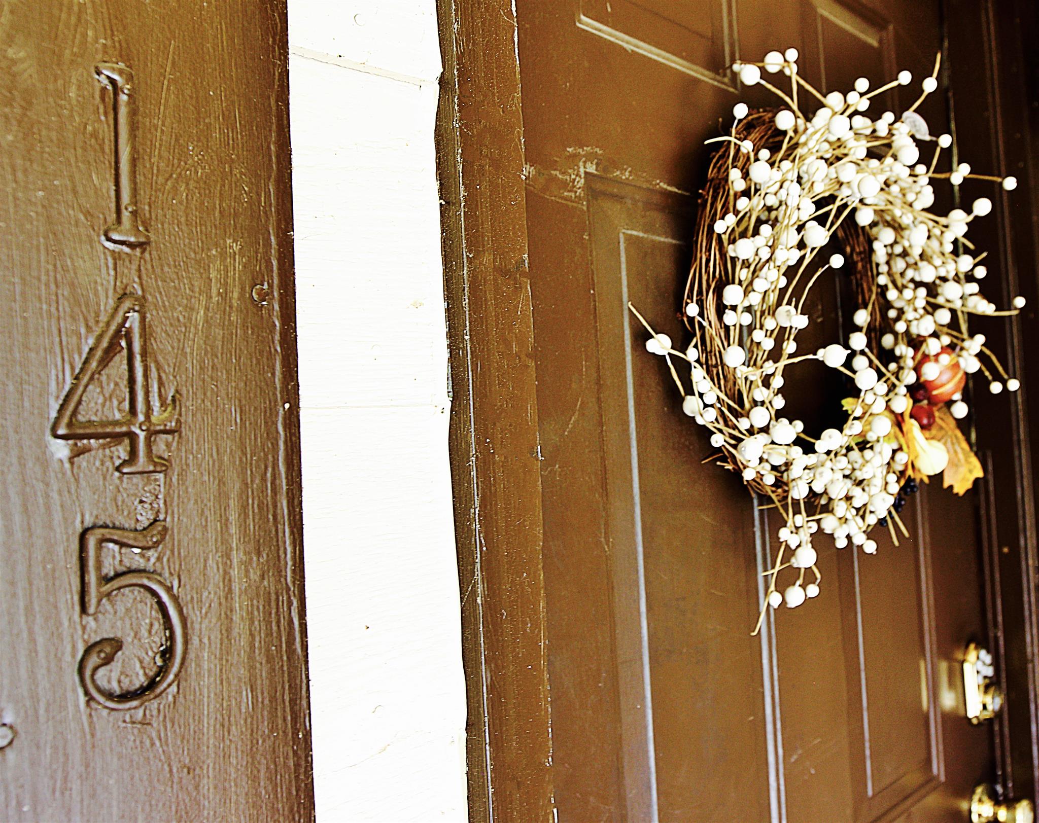 145 Hicks Road Nashville, TN 37221 - Photo 8 of 9 View of front door