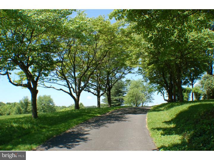 500 Penn Green Road Landenberg, PA 19350 - Photo 13 of 25 Driveway