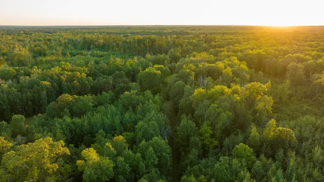 $3,000,000 | 6608 148th Street Northwest, Cass Lake, MN 56633