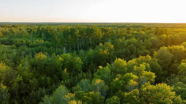 $3,000,000 | 6608 148th Street Northwest, Cass Lake, MN 56633