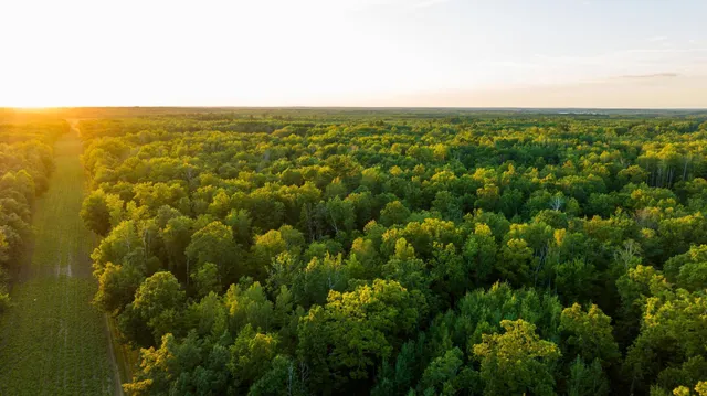 $3,000,000 | 6608 148th Street Northwest, Cass Lake, MN 56633