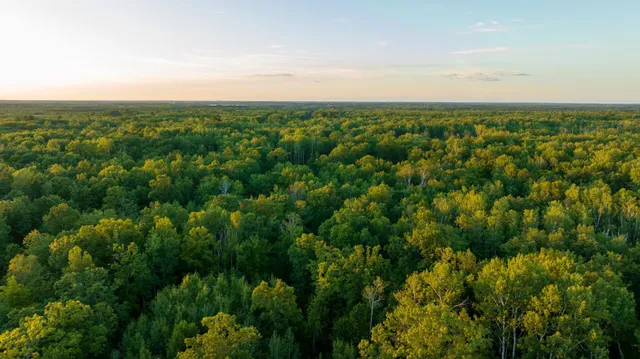 $3,000,000 | 6608 148th Street Northwest, Cass Lake, MN 56633