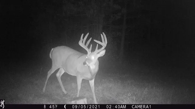 $3,000,000 | 6608 148th Street Northwest, Cass Lake, MN 56633