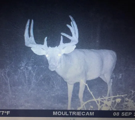 $3,000,000 | 6608 148th Street Northwest, Cass Lake, MN 56633