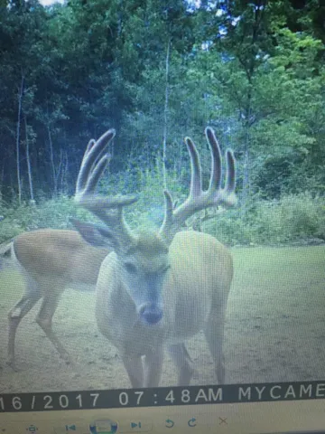 $3,000,000 | 6608 148th Street Northwest, Cass Lake, MN 56633