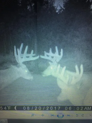 $3,000,000 | 6608 148th Street Northwest, Cass Lake, MN 56633