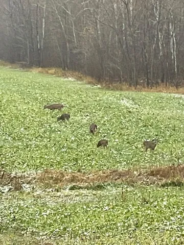 $3,000,000 | 6608 148th Street Northwest, Cass Lake, MN 56633