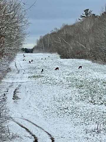 $3,000,000 | 6608 148th Street Northwest, Cass Lake, MN 56633