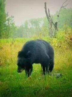 $3,000,000 | 6608 148th Street Northwest, Cass Lake, MN 56633