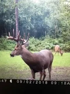 $3,000,000 | 6608 148th Street Northwest, Cass Lake, MN 56633