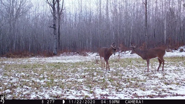 $3,000,000 | 6608 148th Street Northwest, Cass Lake, MN 56633