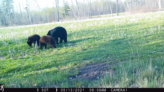 $3,000,000 | 6608 148th Street Northwest, Cass Lake, MN 56633