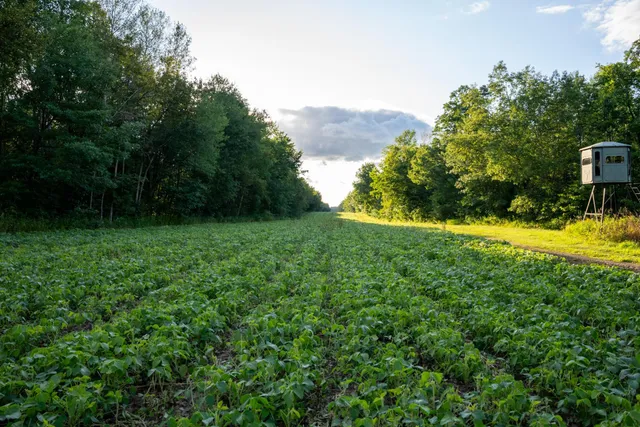 $3,000,000 | 6608 148th Street Northwest, Cass Lake, MN 56633