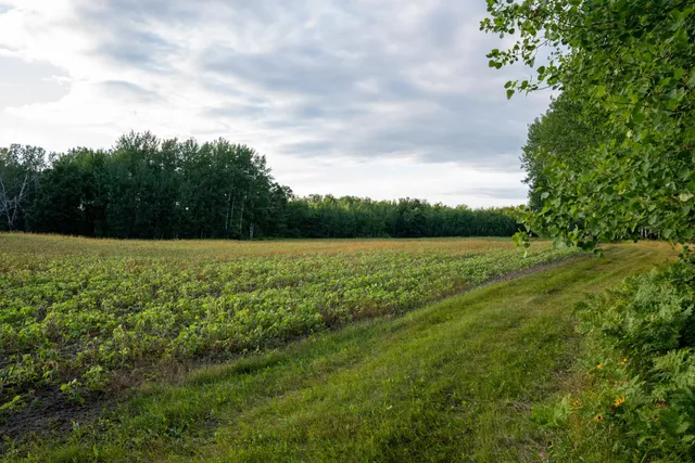 $3,000,000 | 6608 148th Street Northwest, Cass Lake, MN 56633