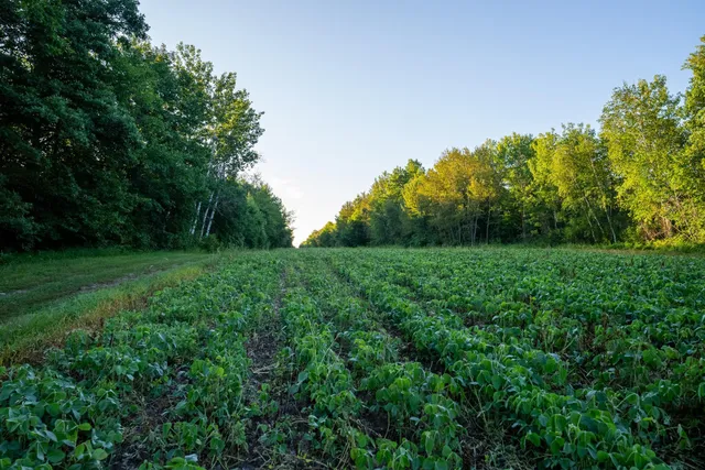 $3,000,000 | 6608 148th Street Northwest, Cass Lake, MN 56633