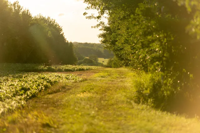 $3,000,000 | 6608 148th Street Northwest, Cass Lake, MN 56633