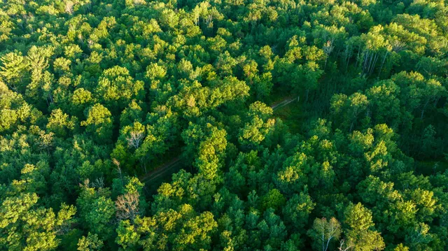 $3,000,000 | 6608 148th Street Northwest, Cass Lake, MN 56633