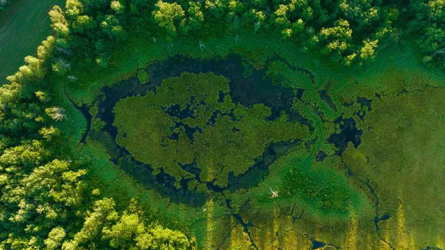 $3,000,000 | 6608 148th Street Northwest, Cass Lake, MN 56633