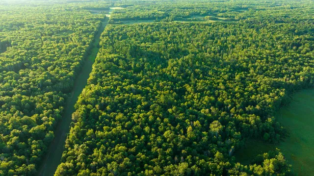 $3,000,000 | 6608 148th Street Northwest, Cass Lake, MN 56633