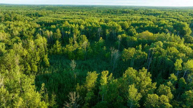 $3,000,000 | 6608 148th Street Northwest, Cass Lake, MN 56633