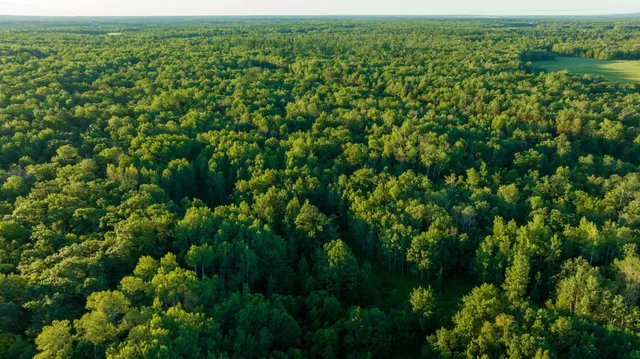 $3,000,000 | 6608 148th Street Northwest, Cass Lake, MN 56633