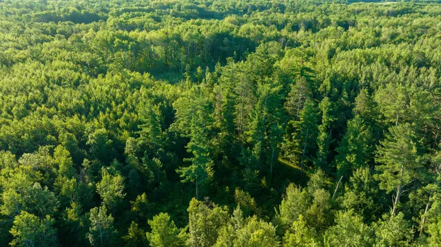 $3,000,000 | 6608 148th Street Northwest, Cass Lake, MN 56633