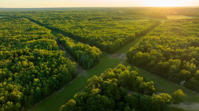 $3,000,000 | 6608 148th Street Northwest, Cass Lake, MN 56633