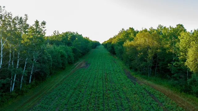 $3,000,000 | 6608 148th Street Northwest, Cass Lake, MN 56633