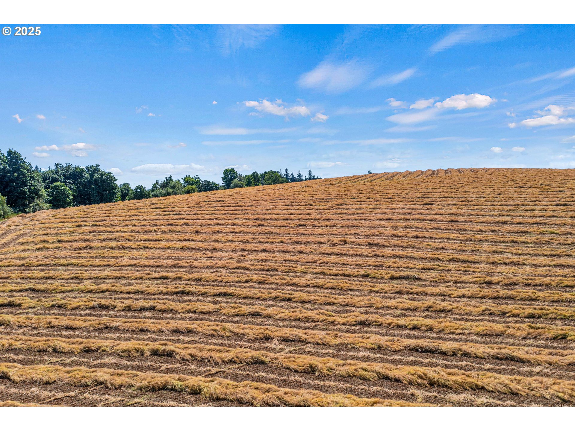 Anderson Road, Unit 100 Sublimity, OR 97385 - Photo 5 of 24