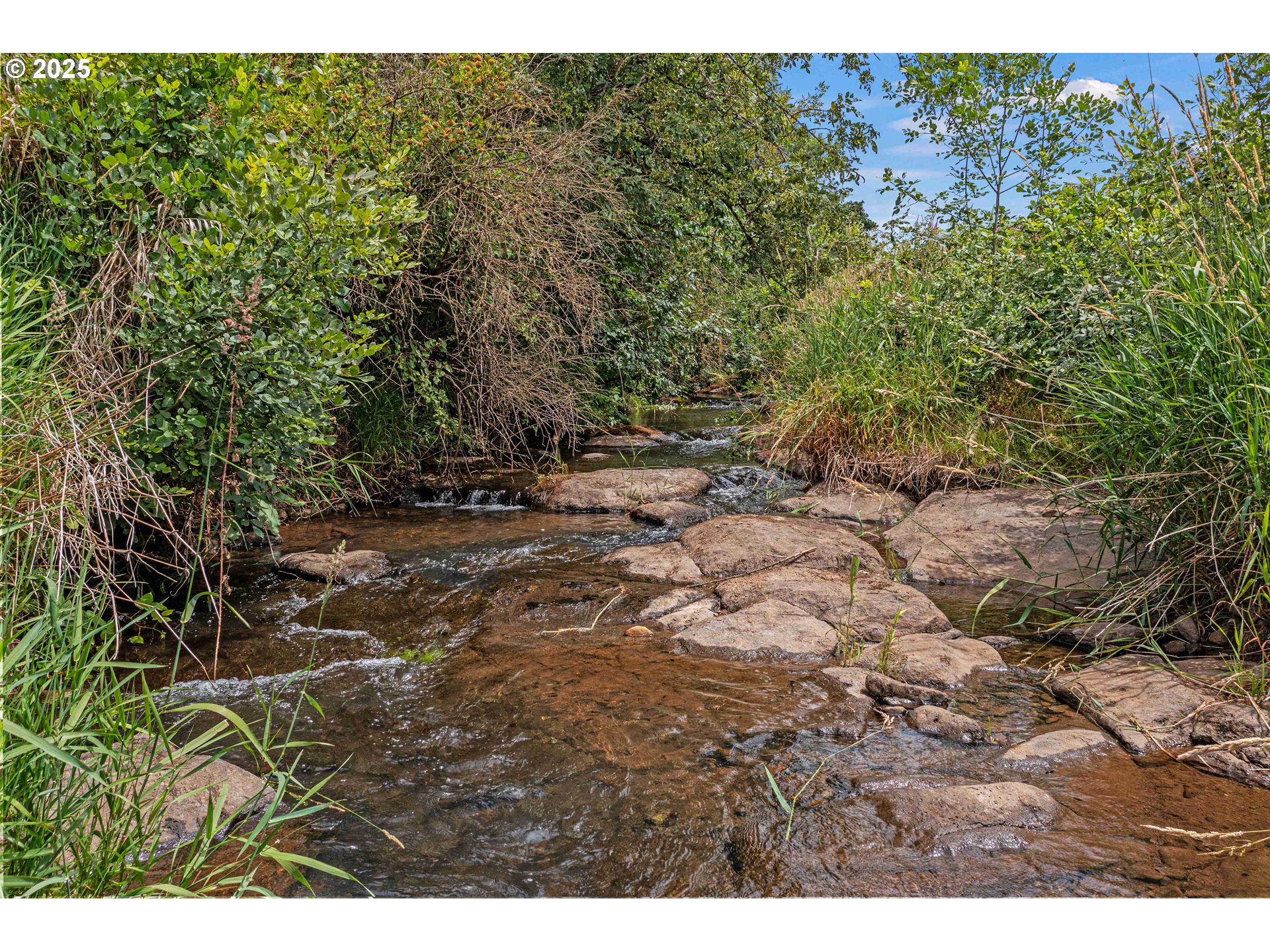 Anderson Road, Unit 100 Sublimity, OR 97385 - Photo 8 of 24